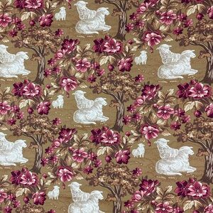 Coventry by Jo Morton quilting cotton fabric 92” x 44.5”
